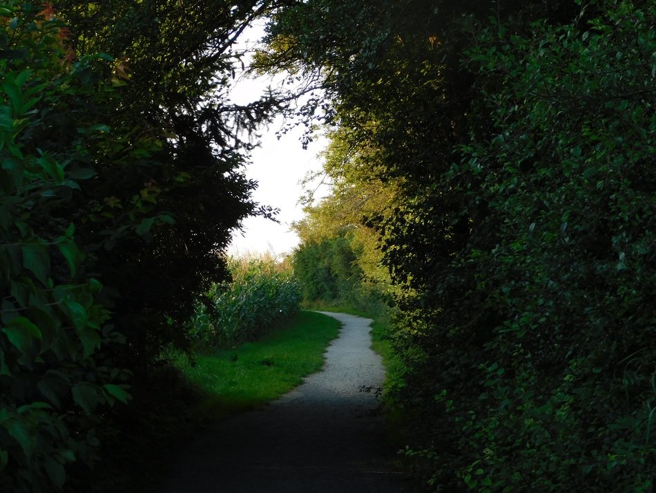 trail through the natural gate