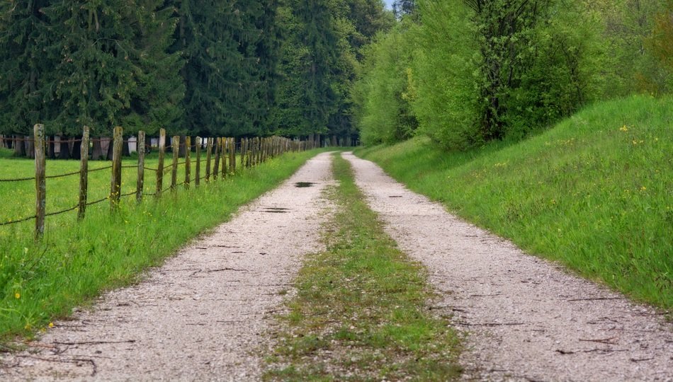 the fence of a pasture near the road
