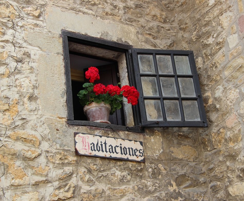 Beautiful colorful flowers in the pot in the window