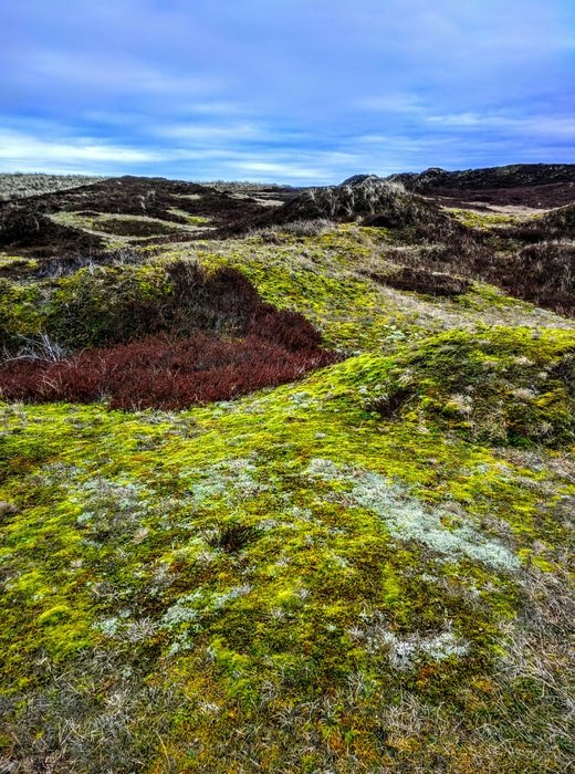 landscape of the hill on the coast of the island Langeoog