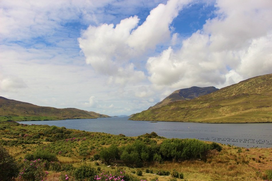 Fjord Water Clouds