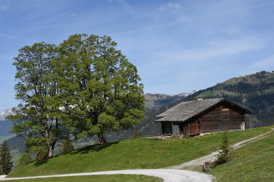 wooden hut among picturesque nature in gstaad
