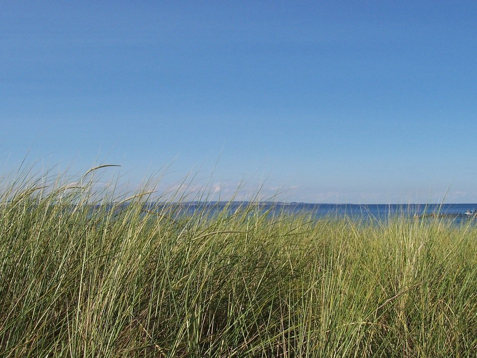 pleasant Lake Beach