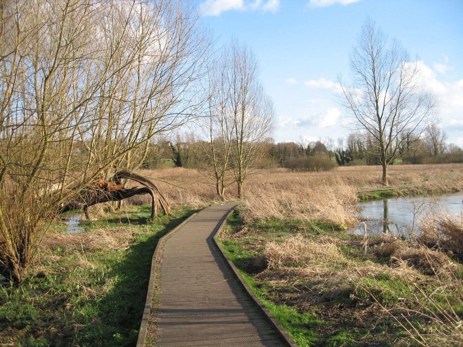 landscape of path along the river on a sunny day