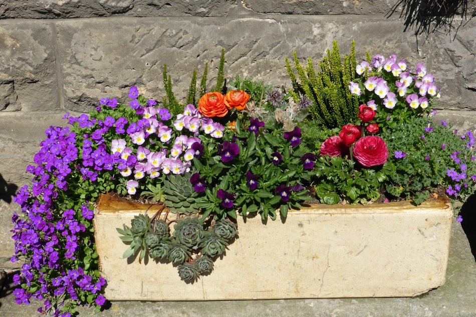 multicolored blooming flowers in a rectangular box on the street