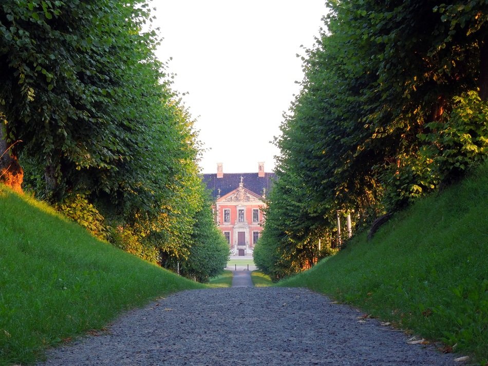 Landscape of Tree lined Avenue in Germany