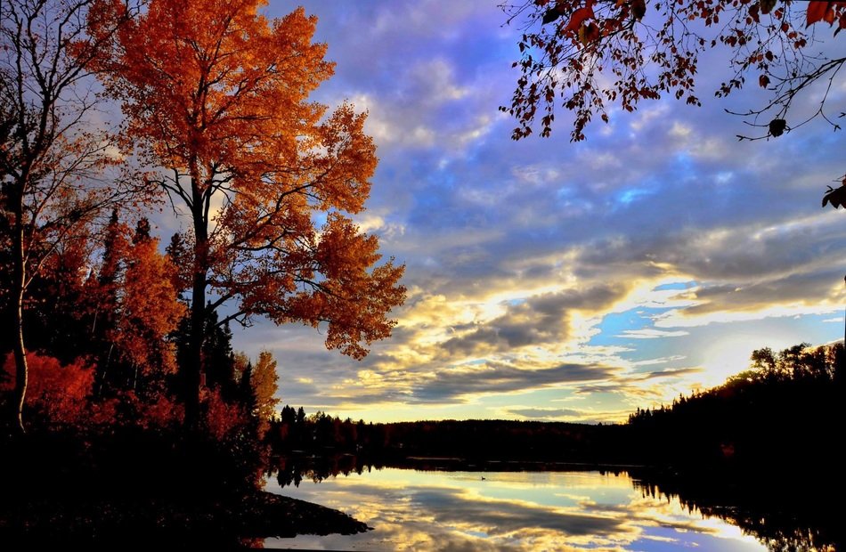 peaceful Autumn Landscape on the river
