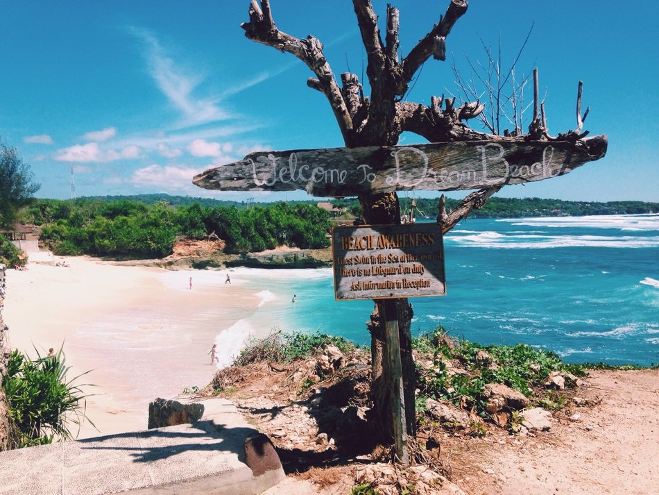 sign on a dry tree near the Indonesian Sea