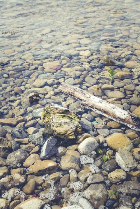Drift Wood and stones in a lake