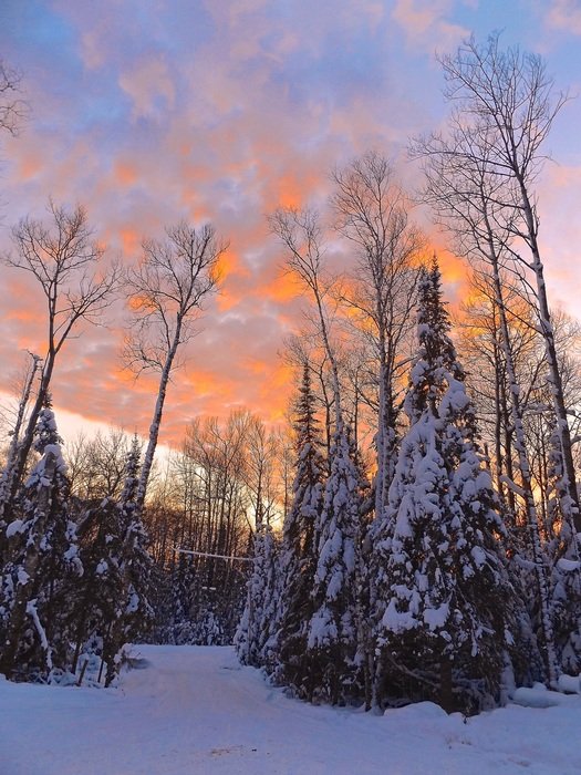 splendiferous Winter Sunset