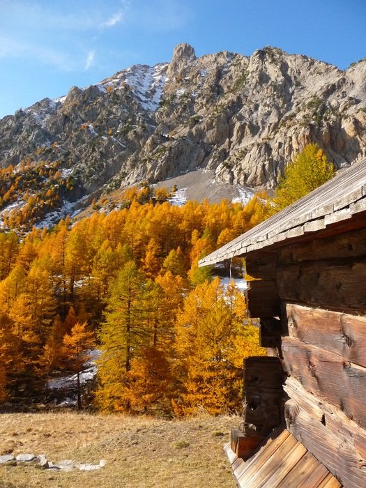 chalet in queyras nature reserve