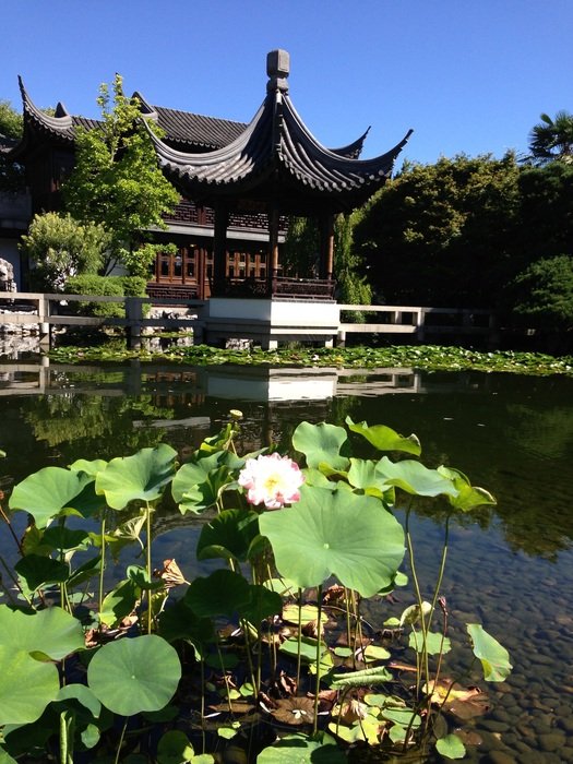 Temple Zen Basin