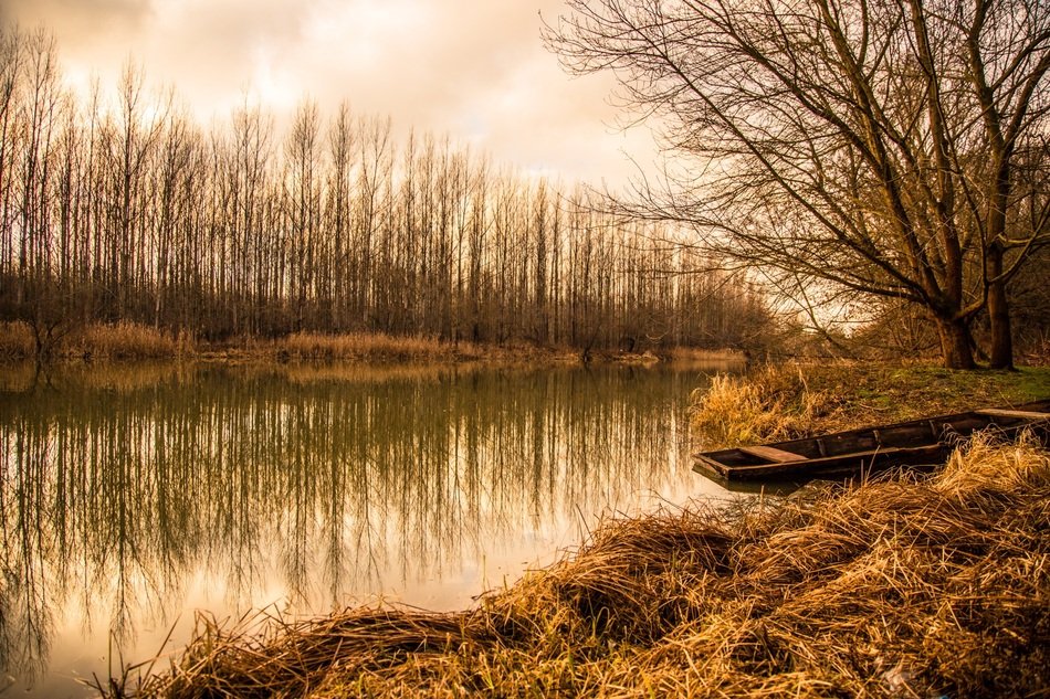 atmospheric autumn evening on the river