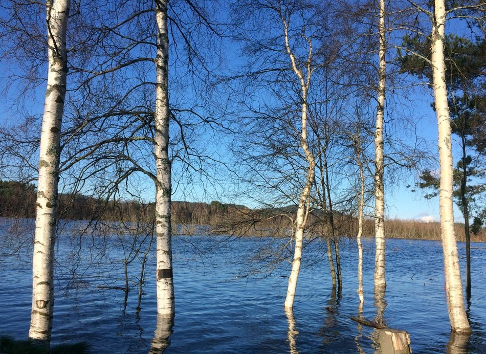 The River Glomma