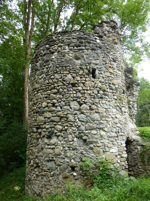 Ruin in the forest