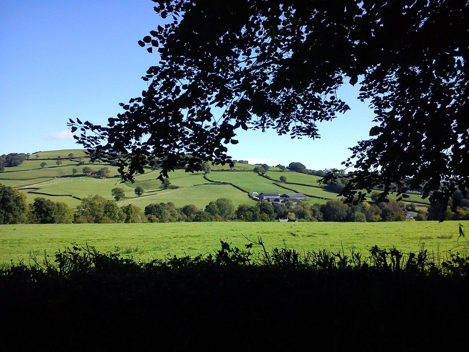 awesome Devon Country Side