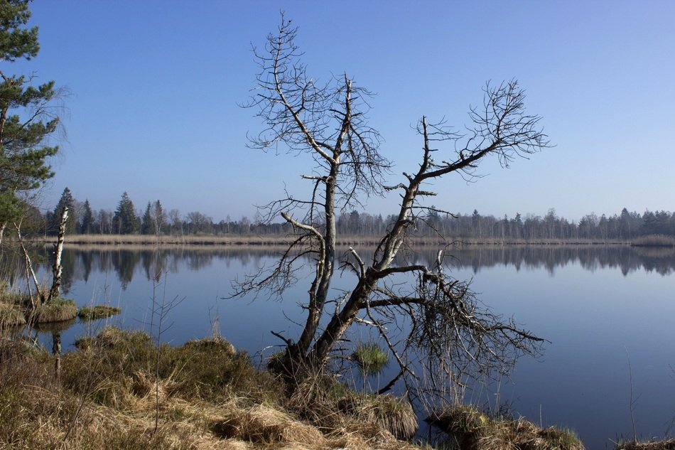 Beautiful landscape with Riedsee