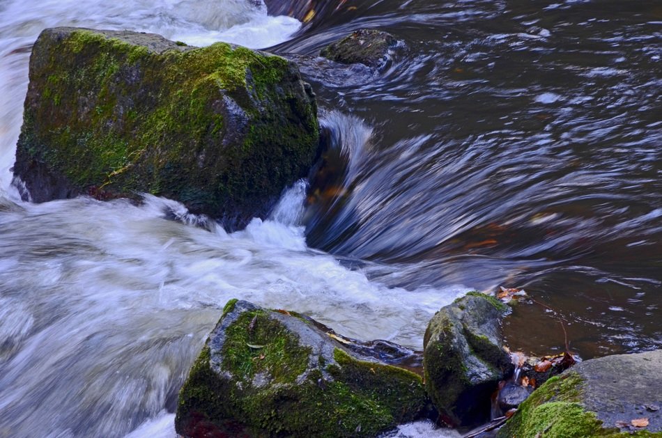 Stones with the moss in the river