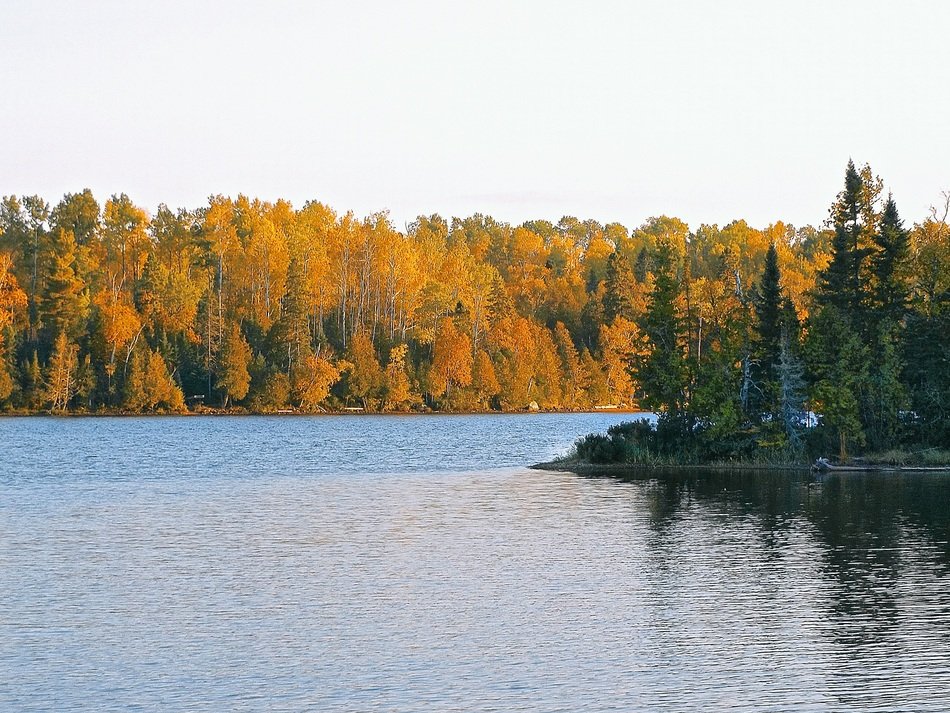 Lake Fall Quiet Landscape