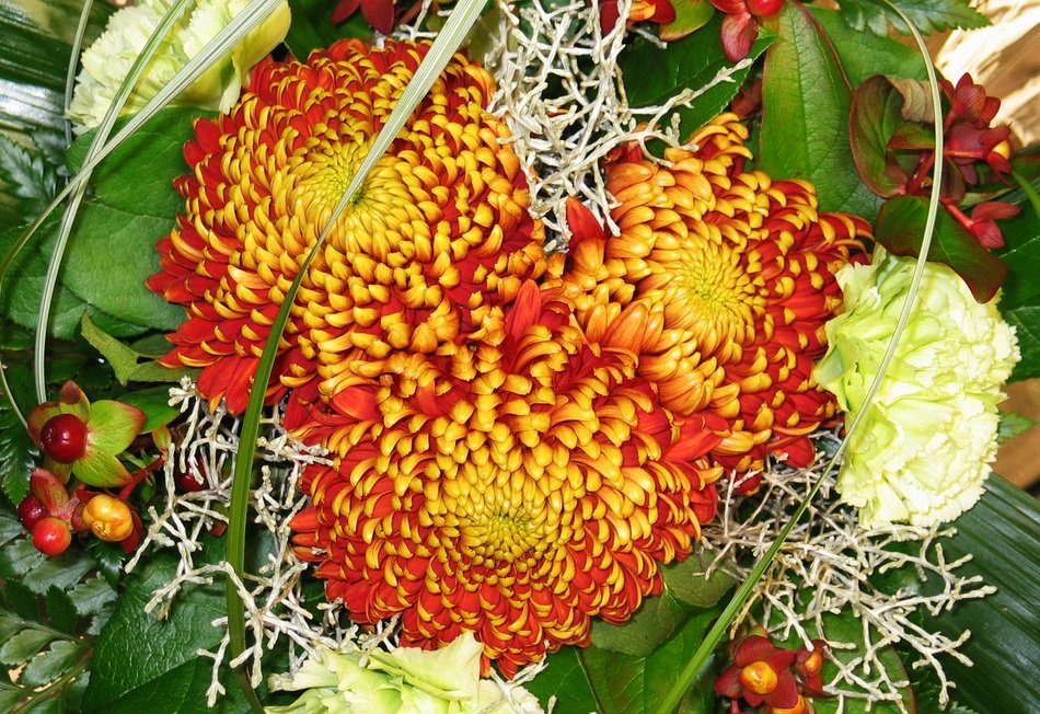 bouquet of red-orange chrysanthemums