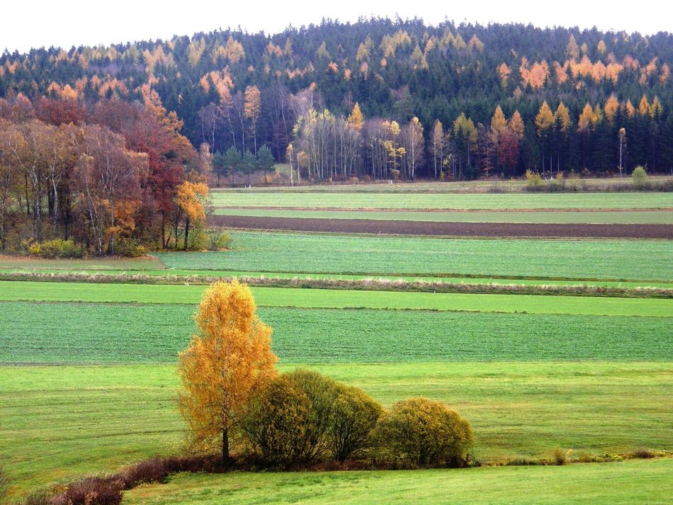 Landscape of Herbstimpression countryside