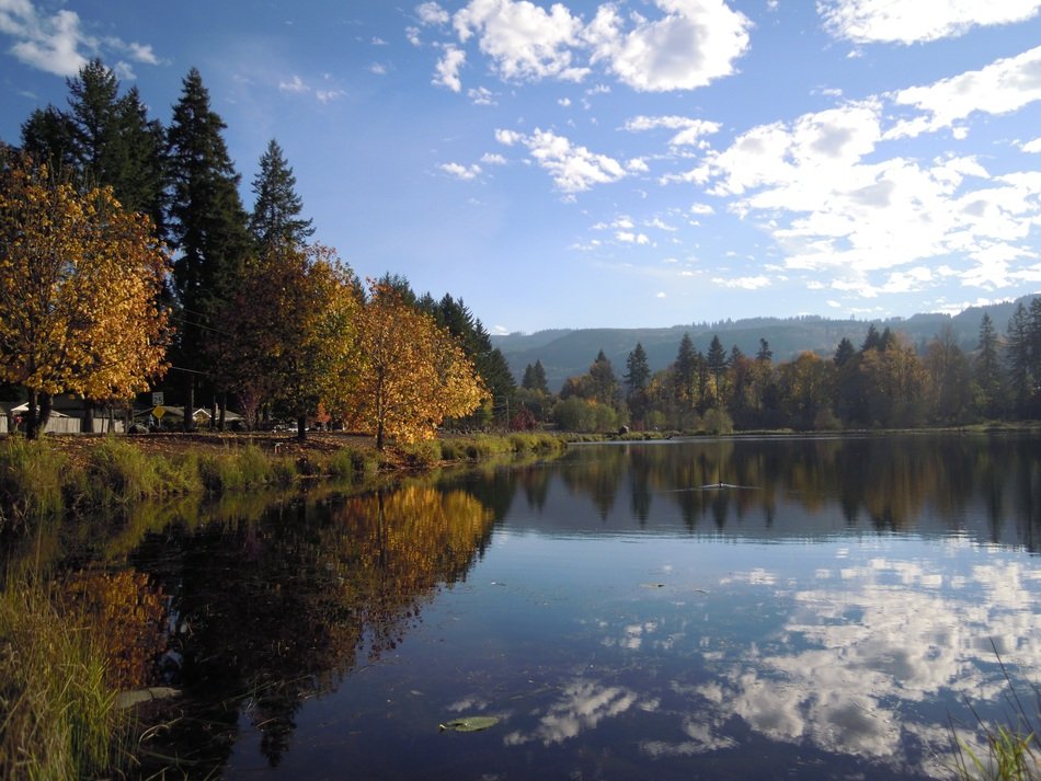 Lake Autumn Leaves, lyons oregon free image download