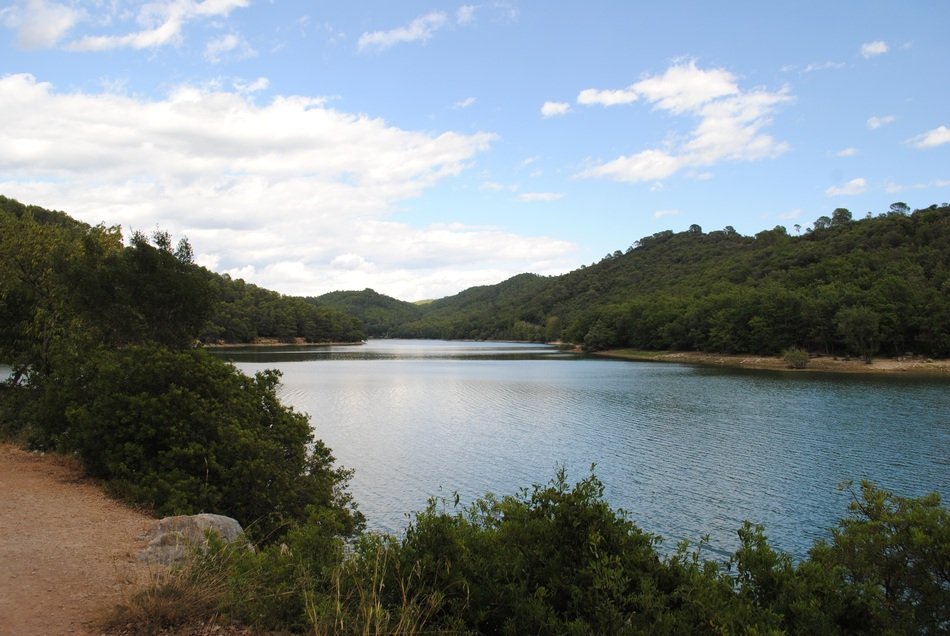 lake among beautiful nature in carcÃ¨s in france