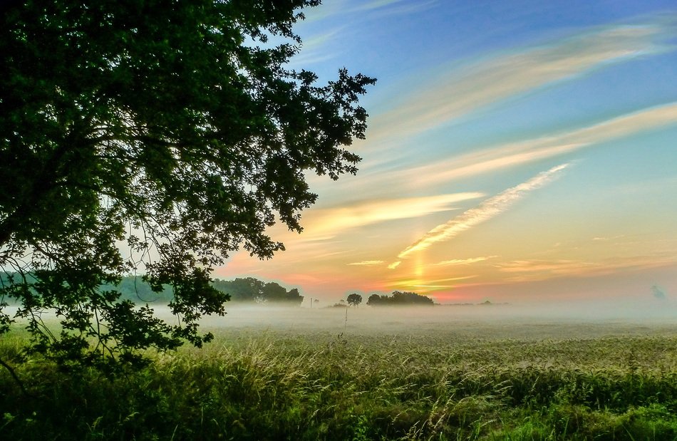 sunrise over a green meadow