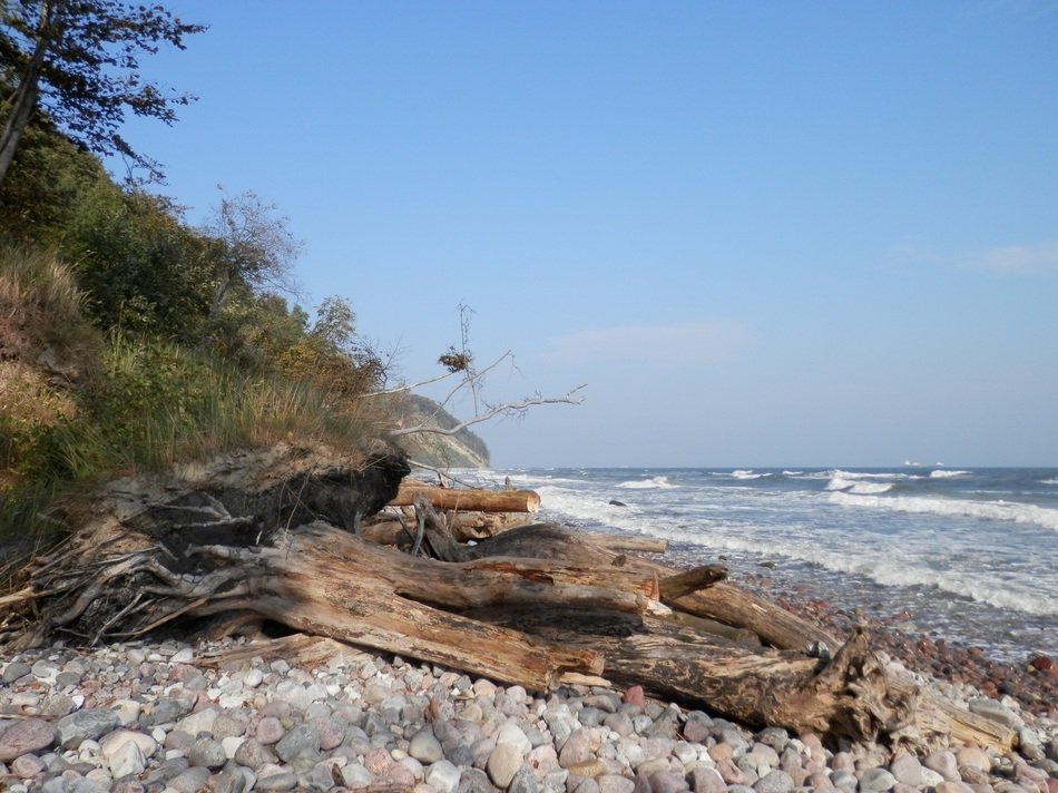 View of baltic sea beach