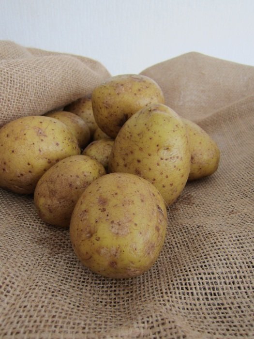 Picture of the Potatoes