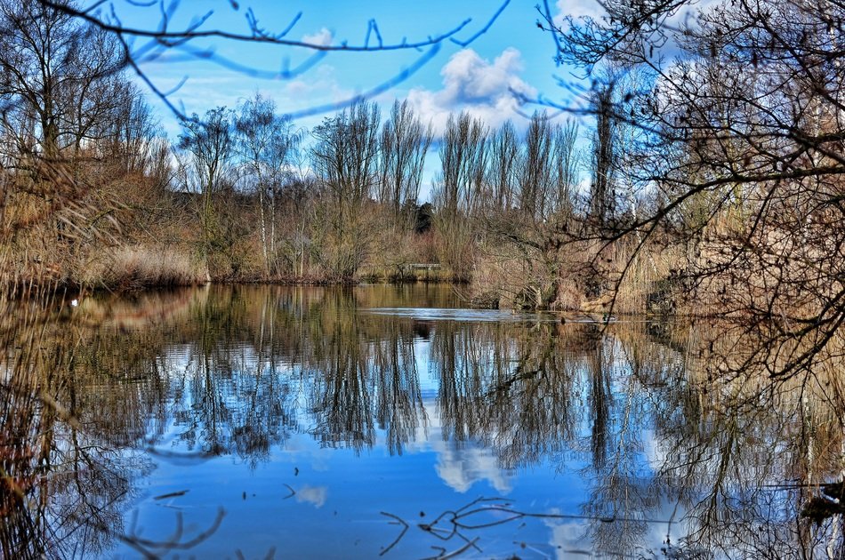 reflection of trees in the lake in autumn
