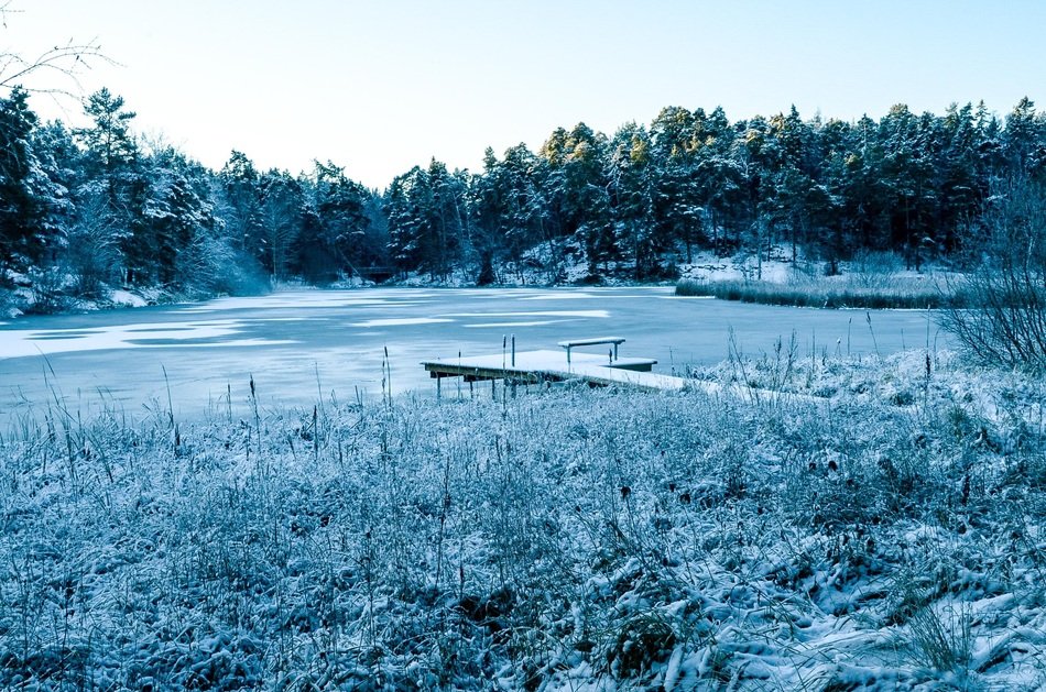 wintry morning landscape