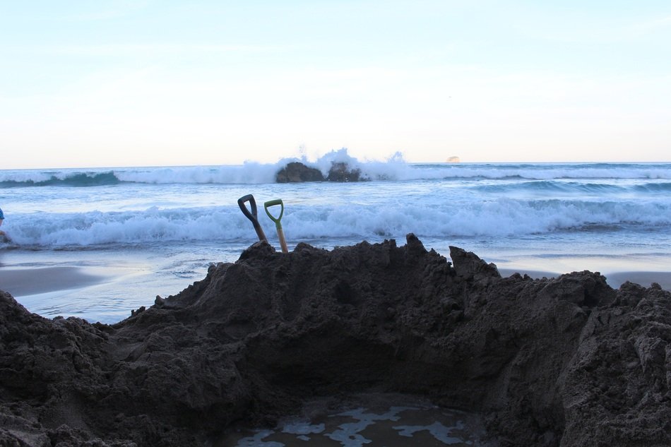 beach in new zealand at dusk