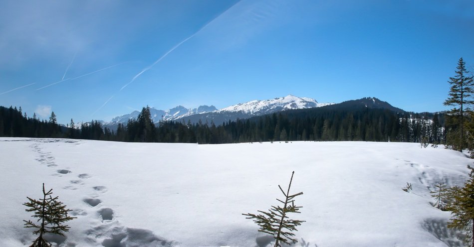 deep tracks in the snow among the picturesque landscape