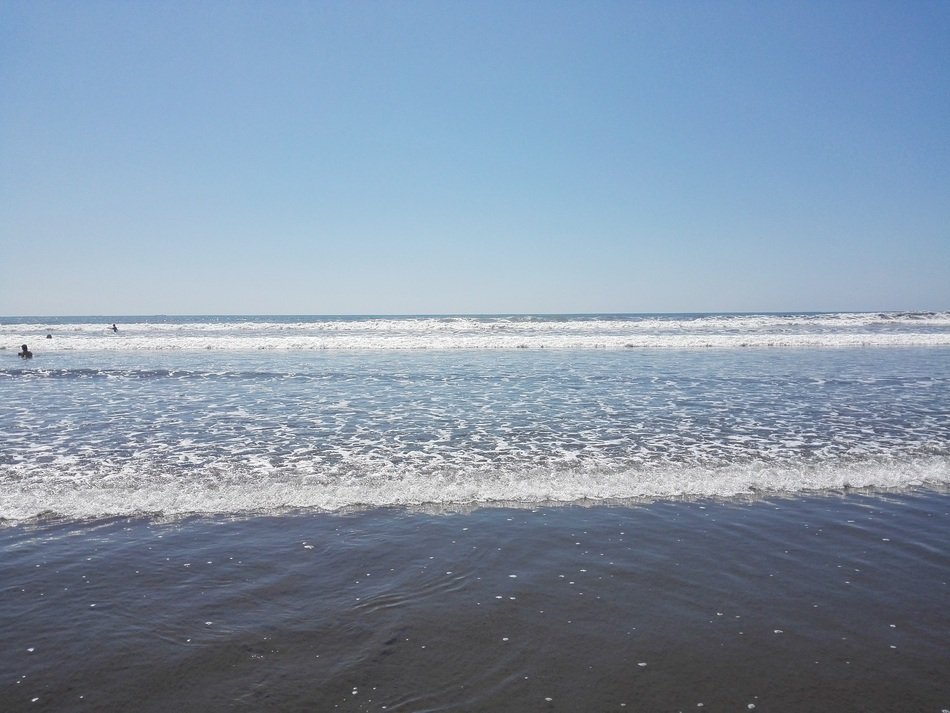 sunny day on the sea coast