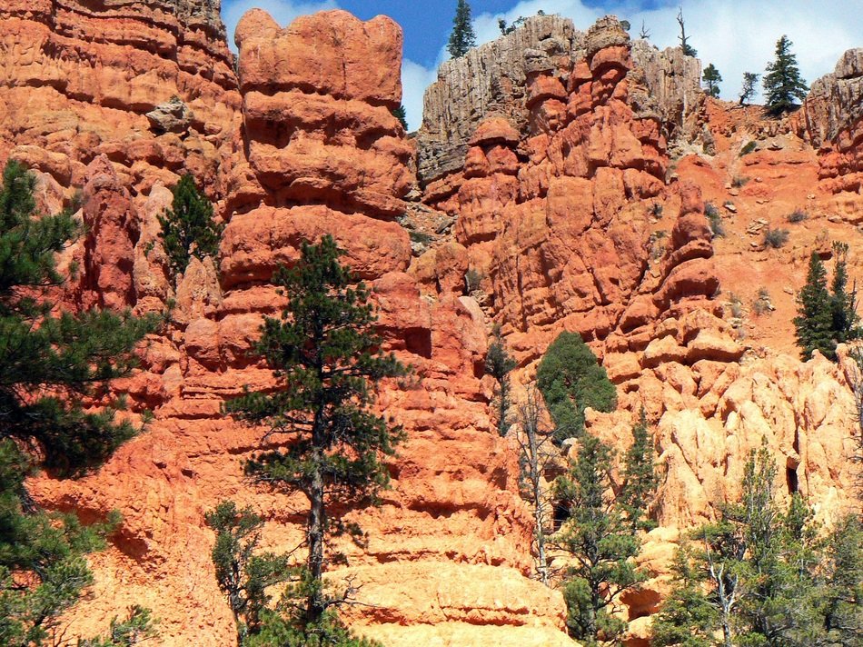 cliffs of bryce canyon in national park