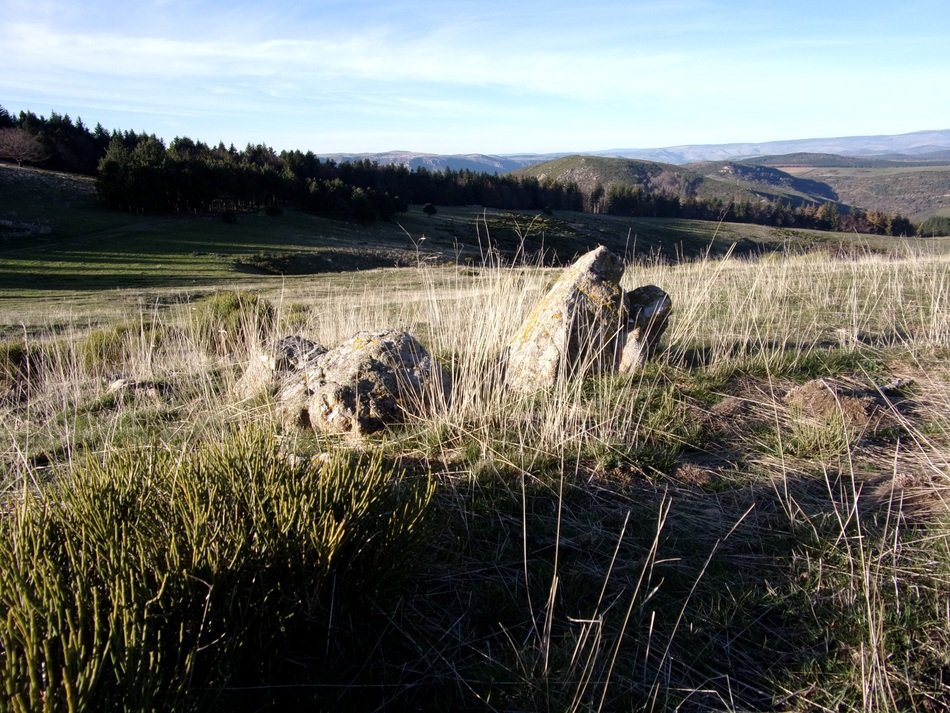 landscape of the cévennes