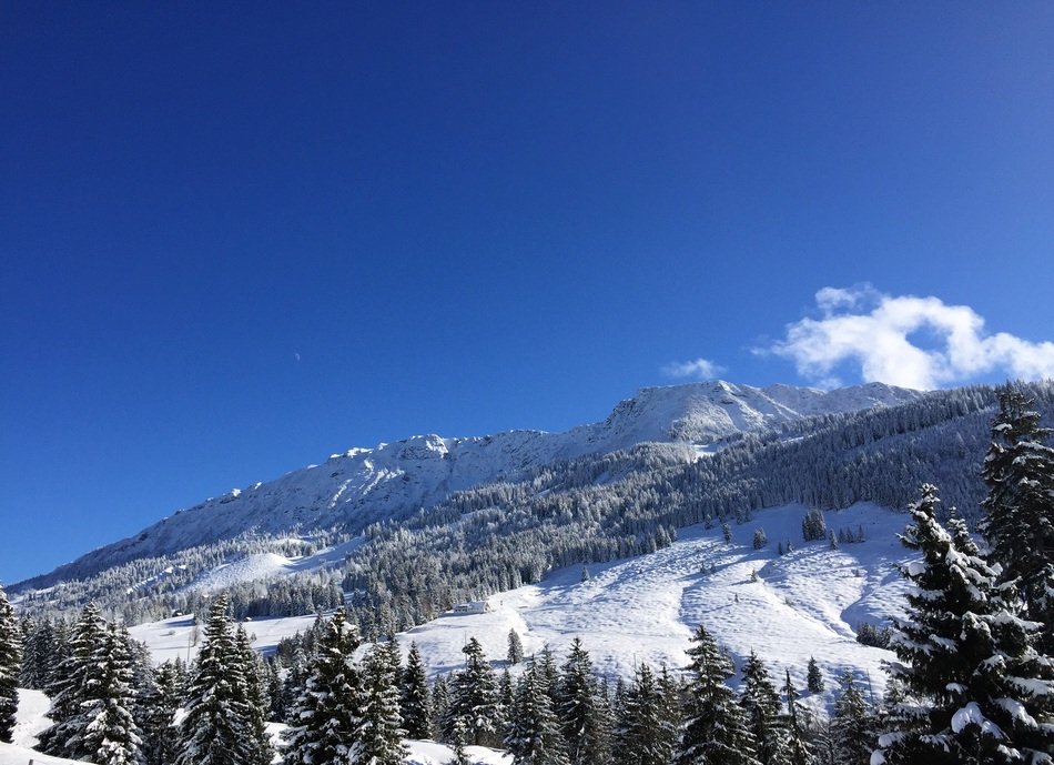 mountain view in the snow in bavaria