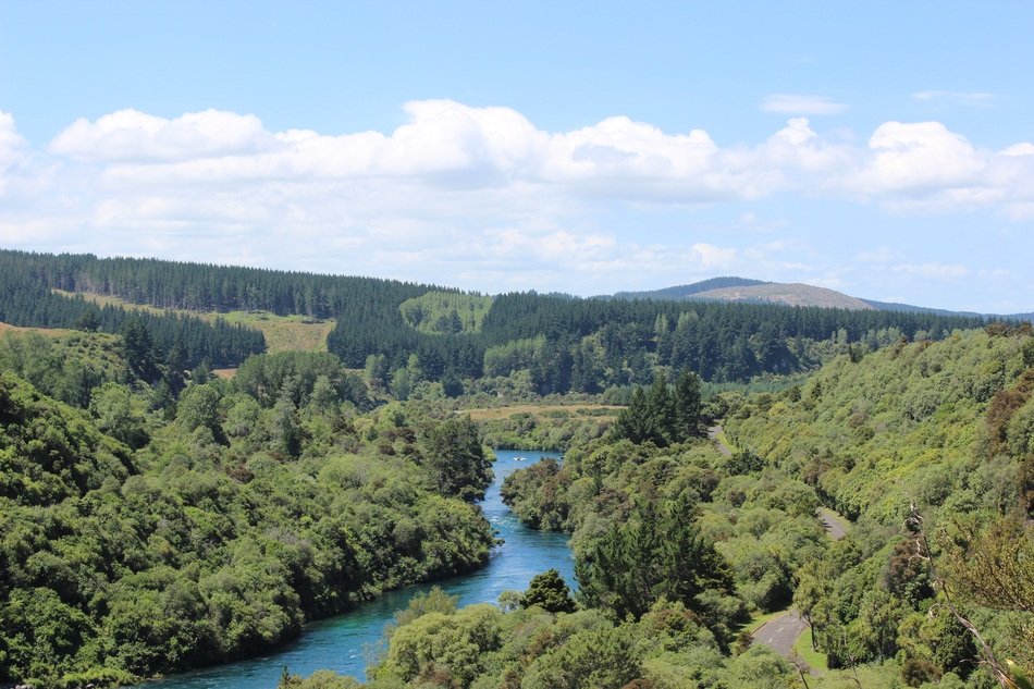 panoramic view of the river among the trees in new zealand