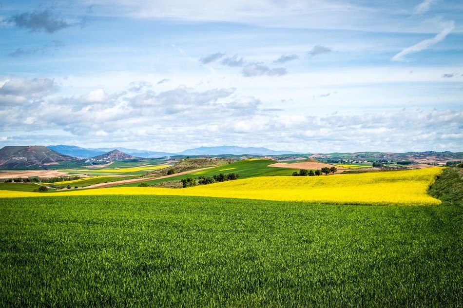 panorama of boundless farmland