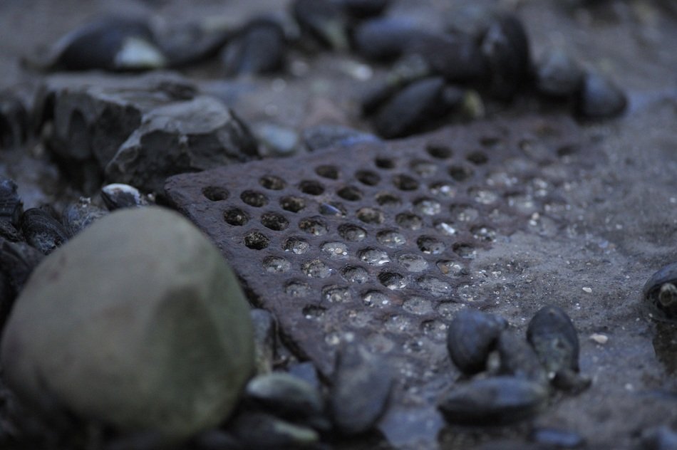 rusty grate on the beach in Denmark