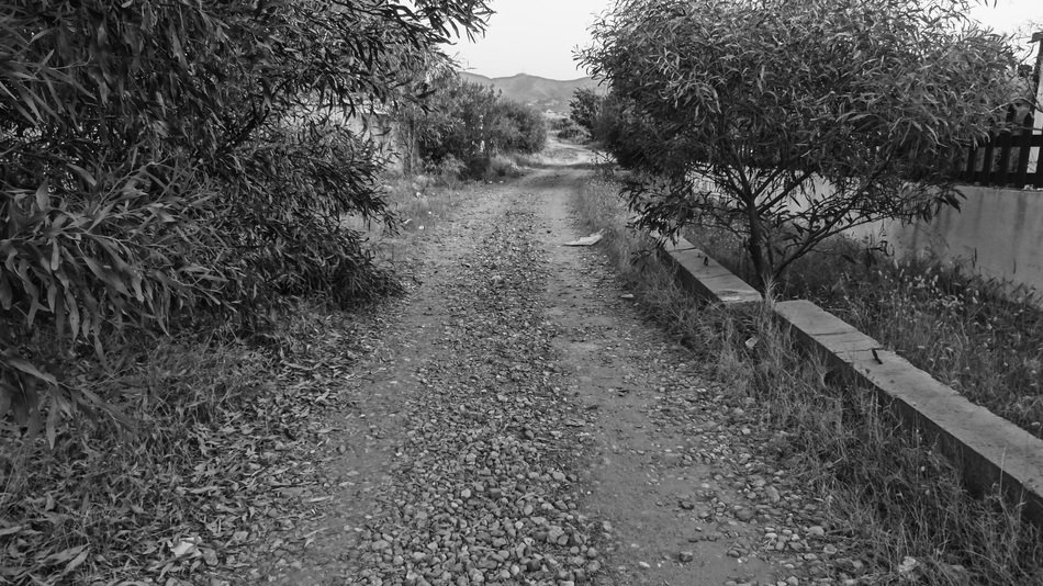 Black and white landscape with the path in summer