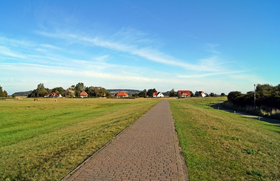 landscape of road on a green meadow