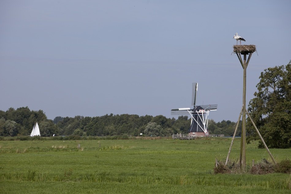 Stork near the mill and sailing boat