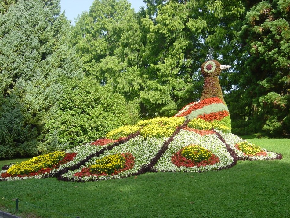 peacock flower sculpture in germany