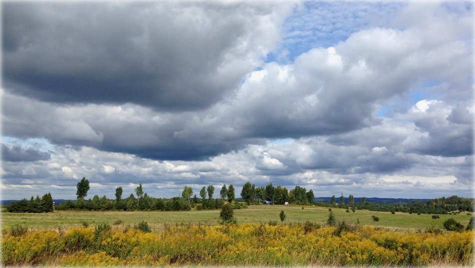 OlkuszLandscape