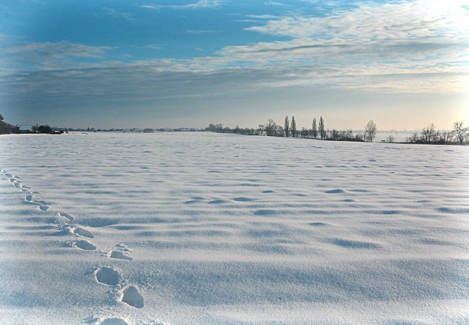 footprints on the snow among the endless winter landscape