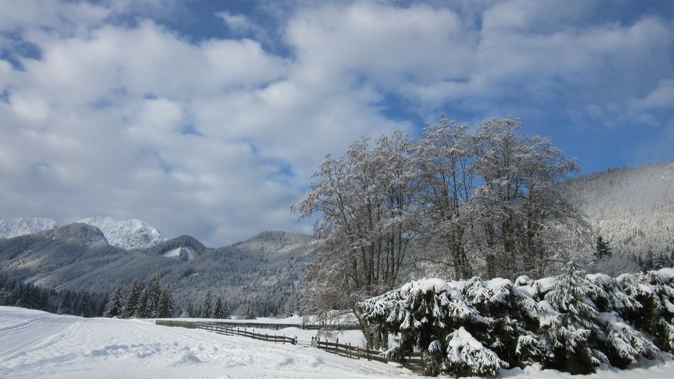 Landscape of Karawanken