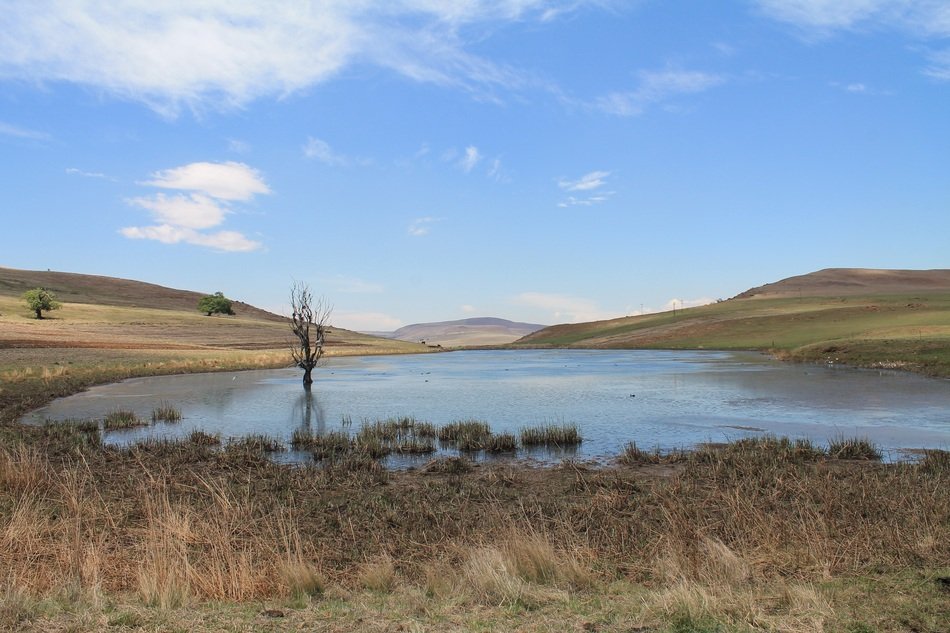 Countryside ecology Landscape