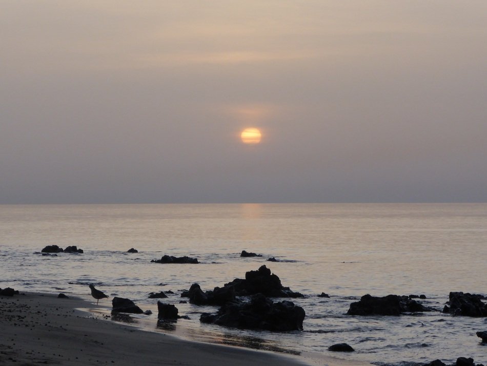 dawn on the ocean beach
